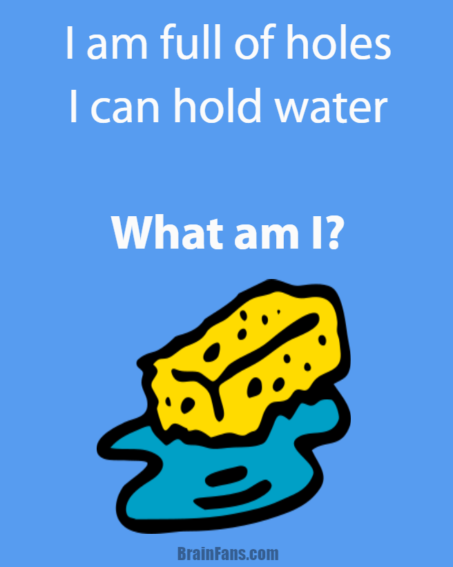 Brain teaser - Logic Riddle - I am full of holes. I can hold water. What am I? - I am full of holes. I can hold water. What am I? (logic riddle)