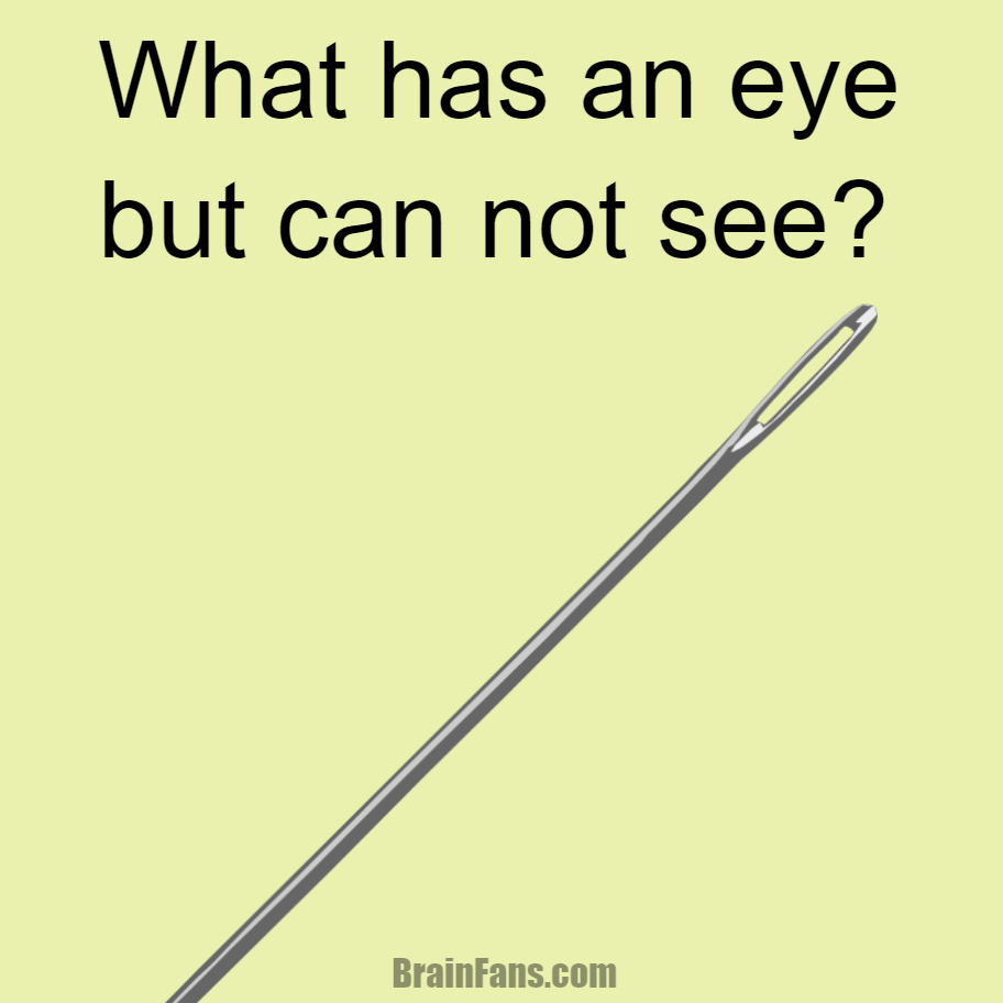 Brain teaser - Logic Riddle - what has an eye but cannot see? - What has an eye but can not see?